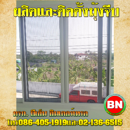 มุ้งจีบราคาส่ง